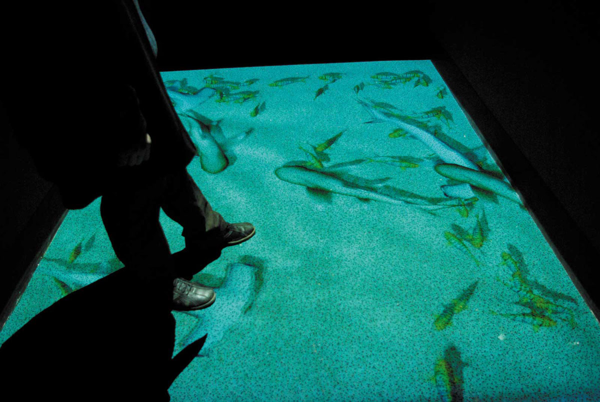 Le couloir des requins - aquarium de La Rochelle