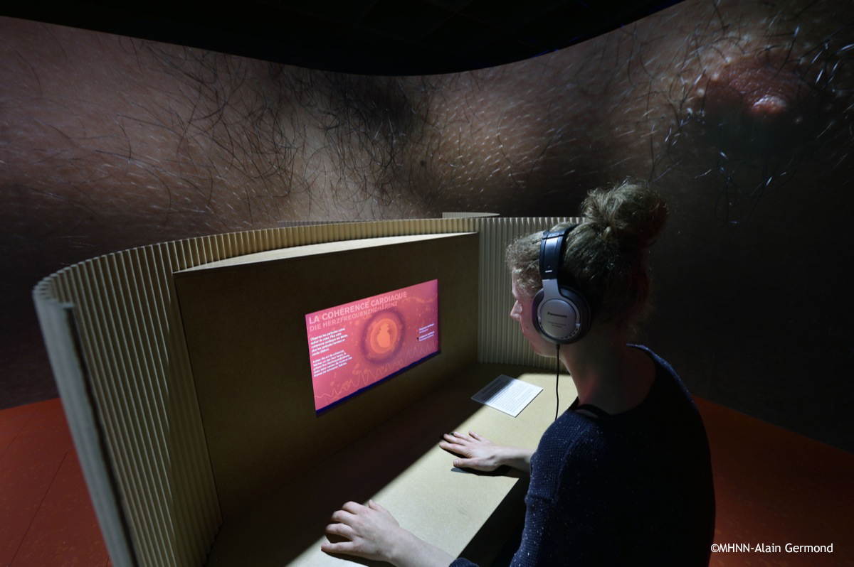 Exposition "EMOTIONS" au museum de Neuchâtel.